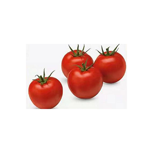 Diamond Tomato Seeds - Cultivation Type: Common