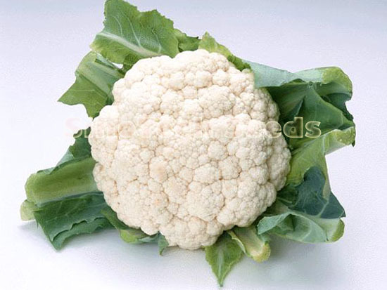 Jade Cauliflower Seeds - Cultivation Type: Common