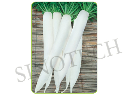 Mino Early Radish Seeds