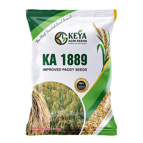 KA 1889 Improved Paddy Seeds