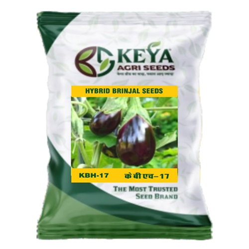 Hybrid Brinjal Seeds