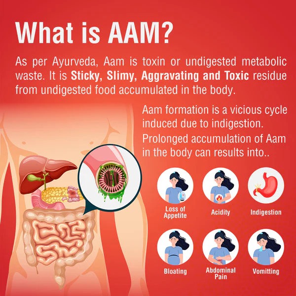 Dabur Aampachak Kadha 450ml