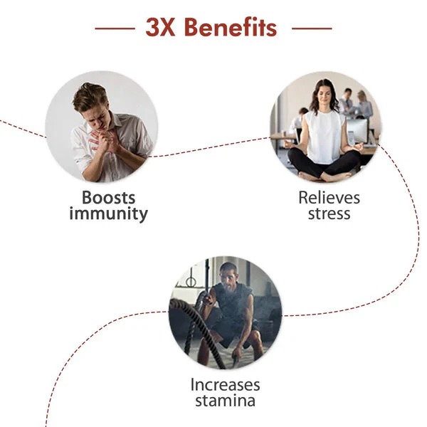 Dabur Ashwagandha Capsules 20 Capsules