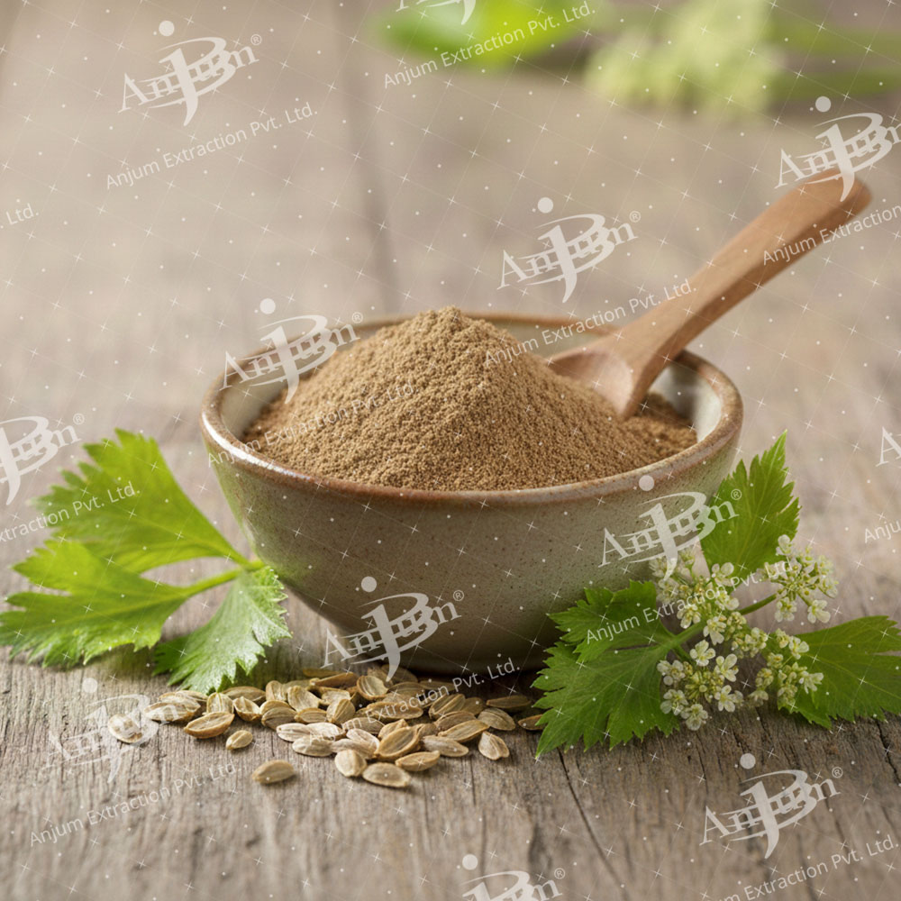 Ajmoda (apium Graveolens) Extract - Application: Medicine
