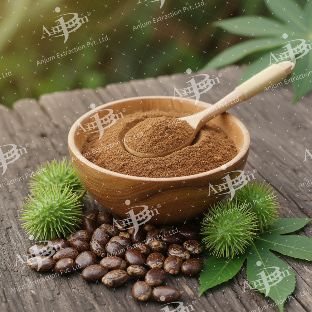 Erand Mool (Ricinus communis) Extract