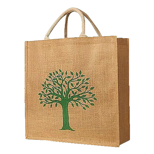 SD Info 21-08 Promotional Bag