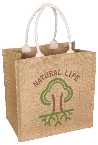 SD Info 21-07 Promotional Bag