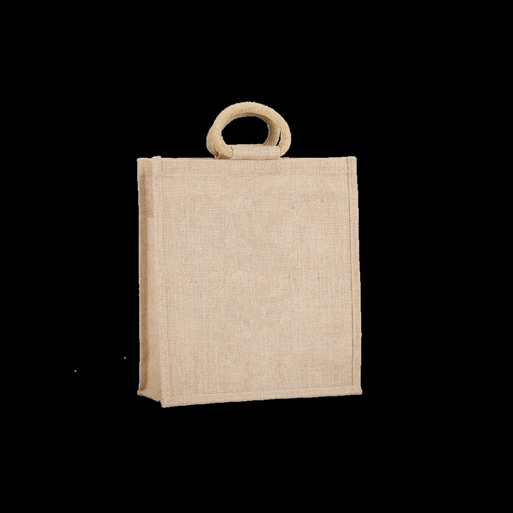 SD Info 21-06 Promotional Bag