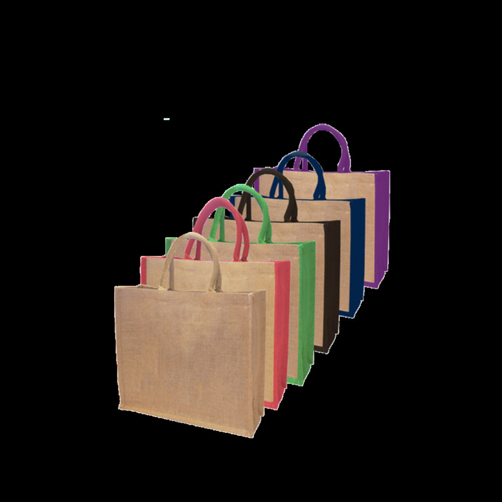 SD Info 21-01 Promotional Bag