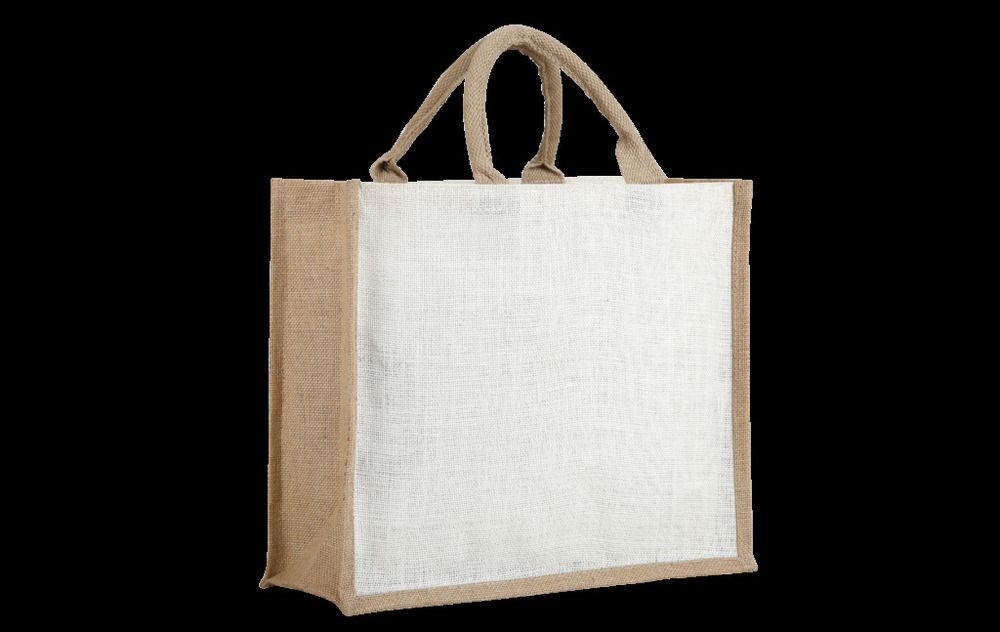 SD Meal 21-02 Lunch Bags