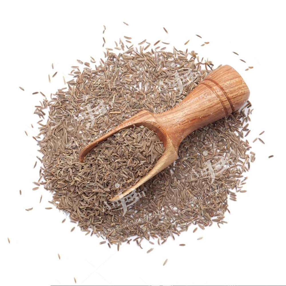 Shahjeera (Carum carvi) Extract