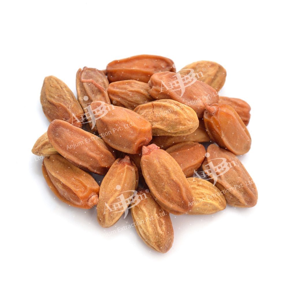 Neem Beej (Azadirachta indica) Extract