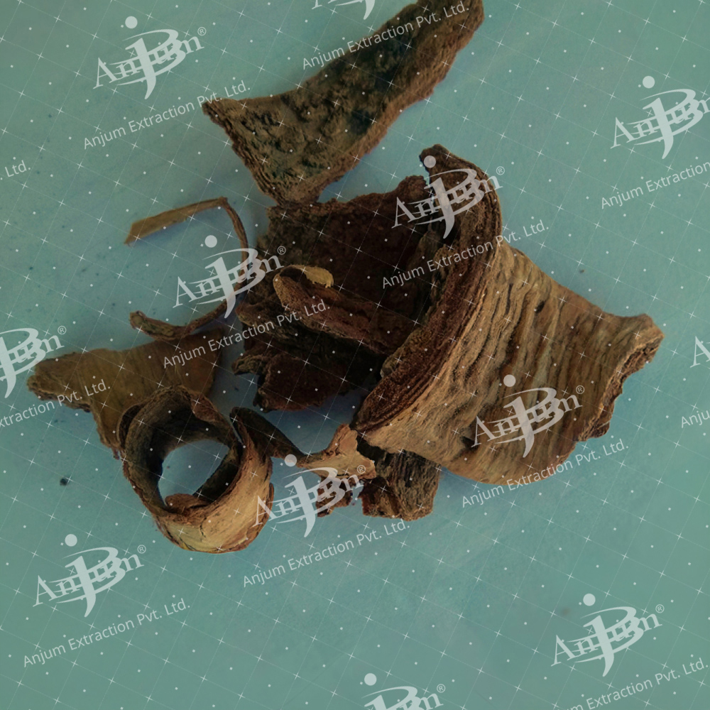 Kuda Chaal (Holarrhena antidysenterica) Extract