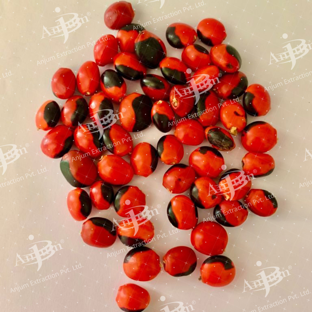 Kalihari (Gloriosa superba) Extract