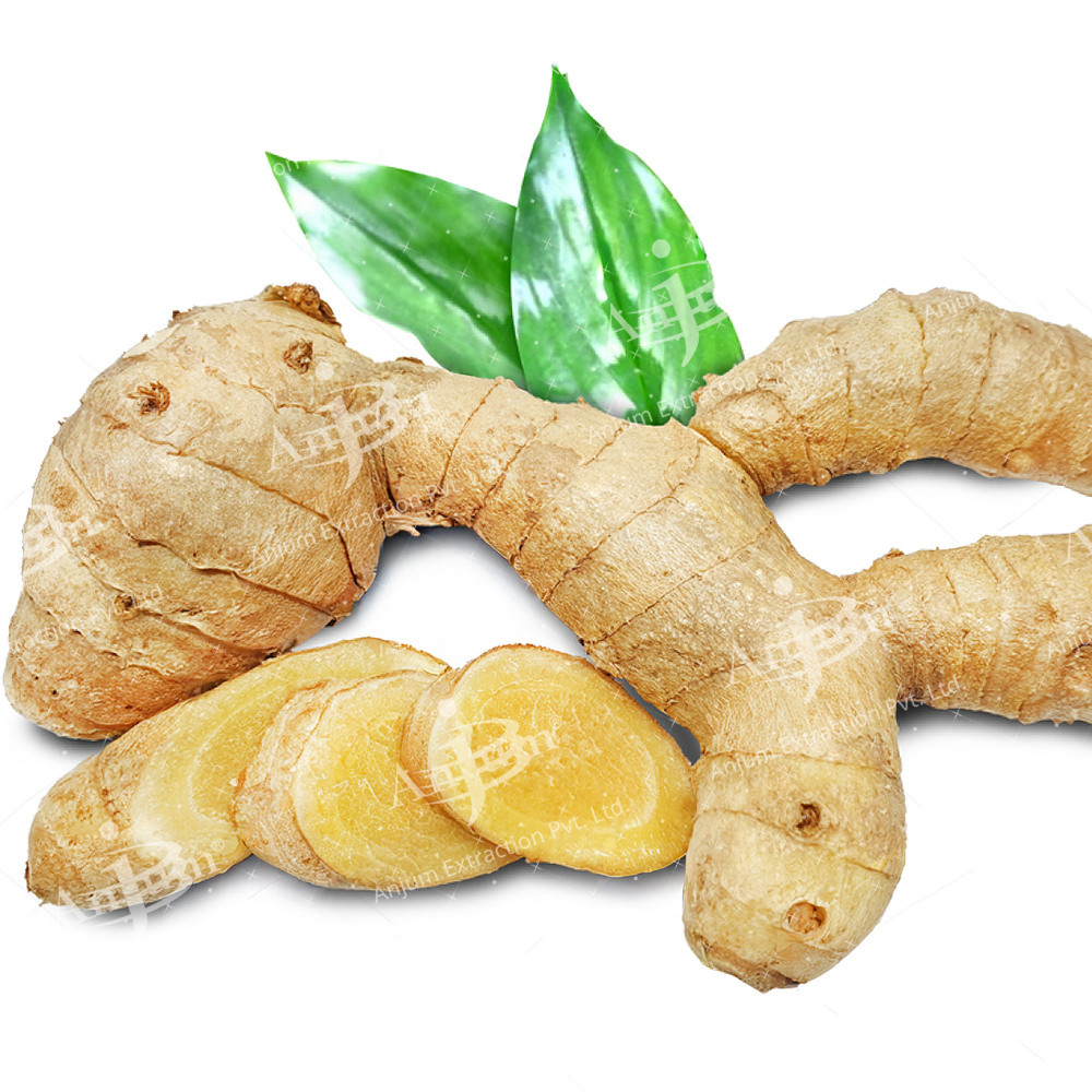 Kachura (Curcuma Zedoaria) Extract - Product Type: Botanical Product