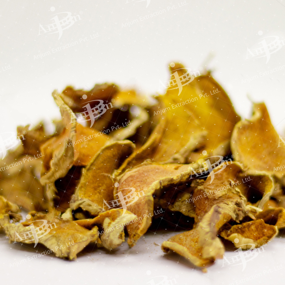 Kachura (Curcuma zedoaria) Extract