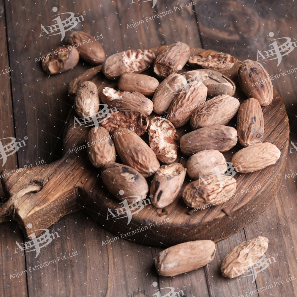 Jaiphal (Myristica fragrans)