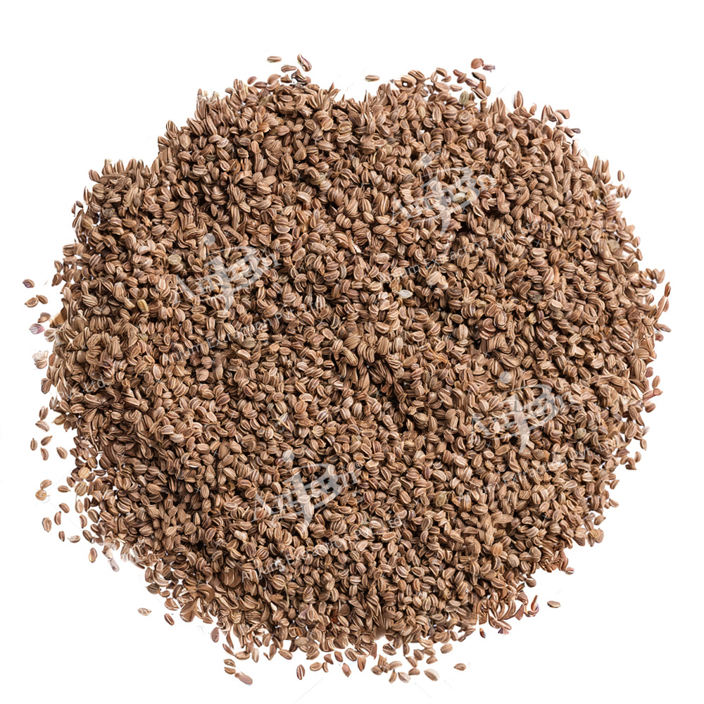 Ajmoda (Apium graveolens) Extract