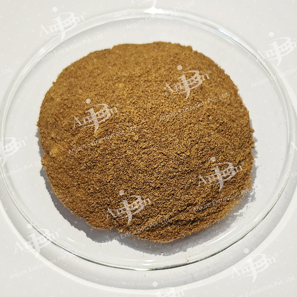 Ajmoda (Apium graveolens) Extract