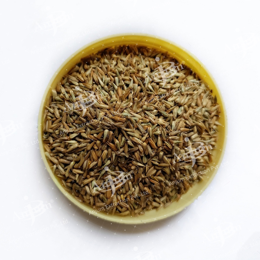 Apamarg (Achyranthes aspera)