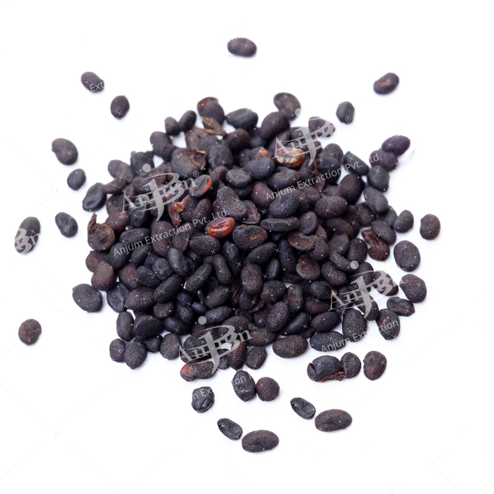 Babchi Seeds (Psoralea corylifolia) Extract