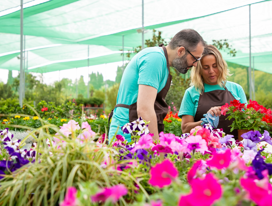 Agriculture Net - Cover Material: Pc Sheet