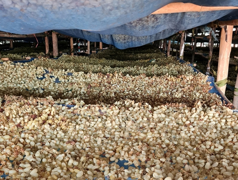 Agricultural Shade Net - Cover Material: Pc Sheet