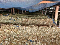 Agricultural Shade Net - Cover Material: Pc Sheet