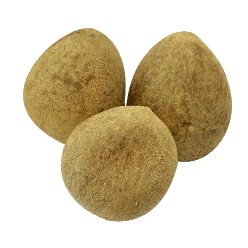 Dried Coconut - Color: Brown