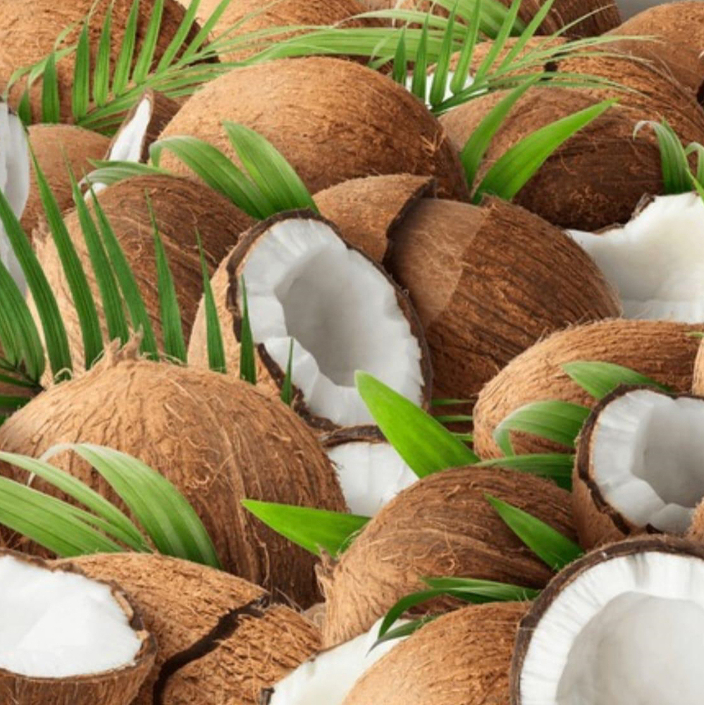 Fresh Coconut - Color: Brown Outer Shell; White Inner Flesh