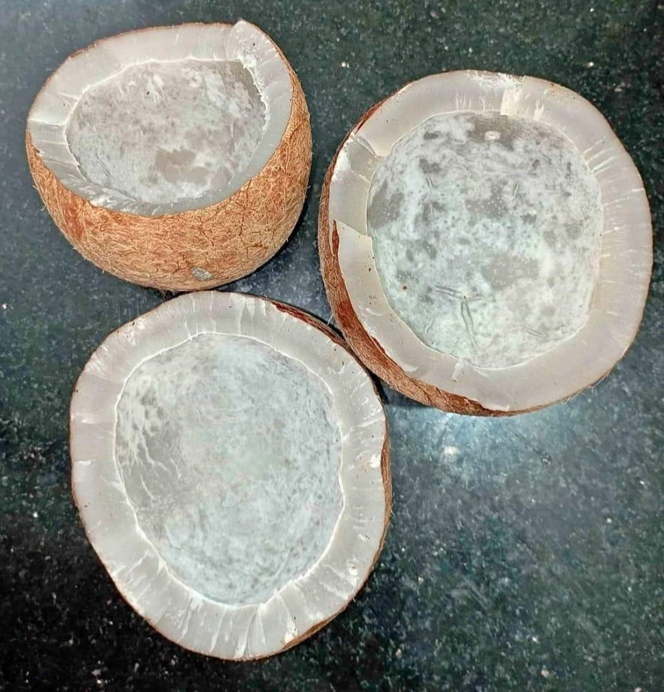 Fresh Kopra - Husk Type: Full-Husked