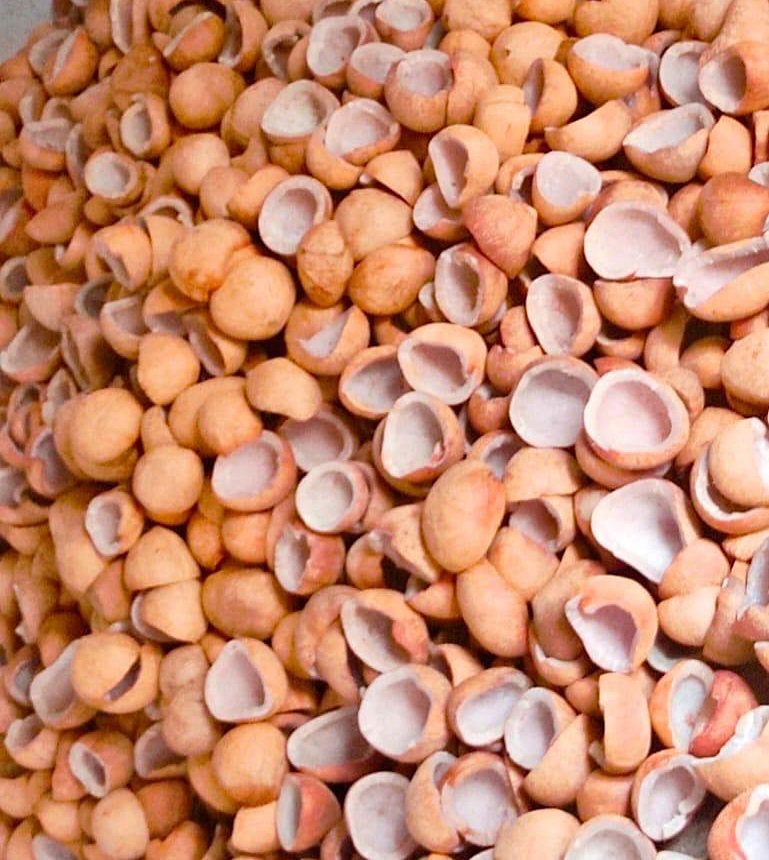 Fresh Kopra - Husk Type: Full-husked