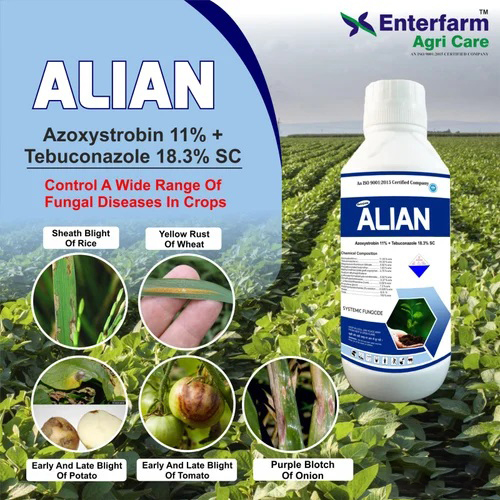 Azoxystrobin 11 Tebuconazole 18.3 Sc - Application: Plant Growth