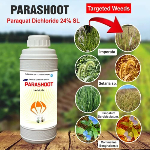 Paraquat Dichloride 24 Sl - Application: Agriculture