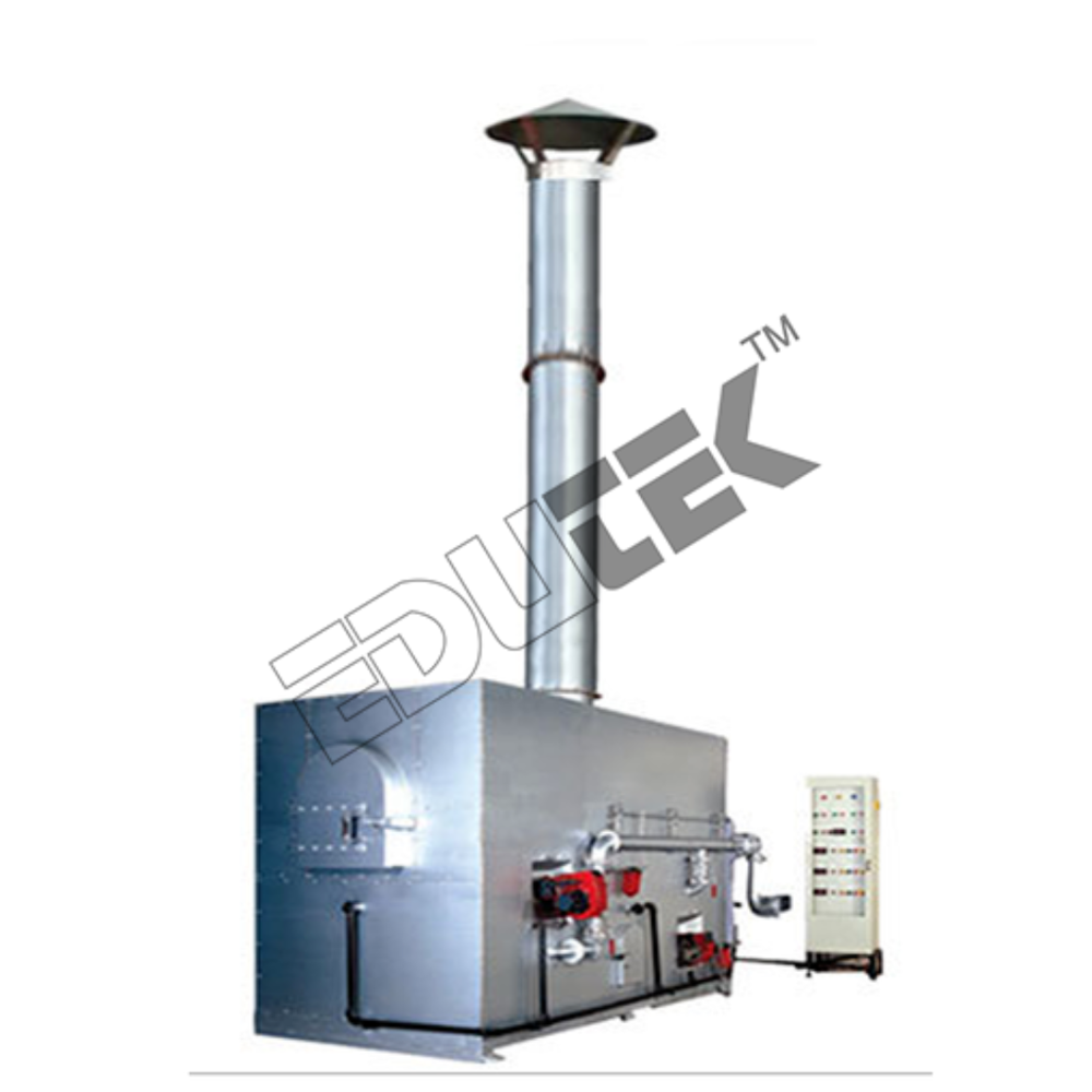 Municipal Solid Waste Incinerator