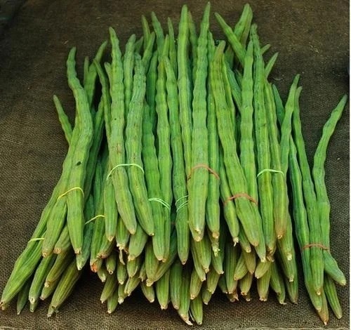 Organic Drumsticks