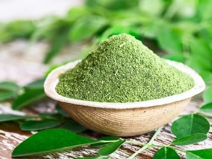 Moringa Powder - Age Group: Adults