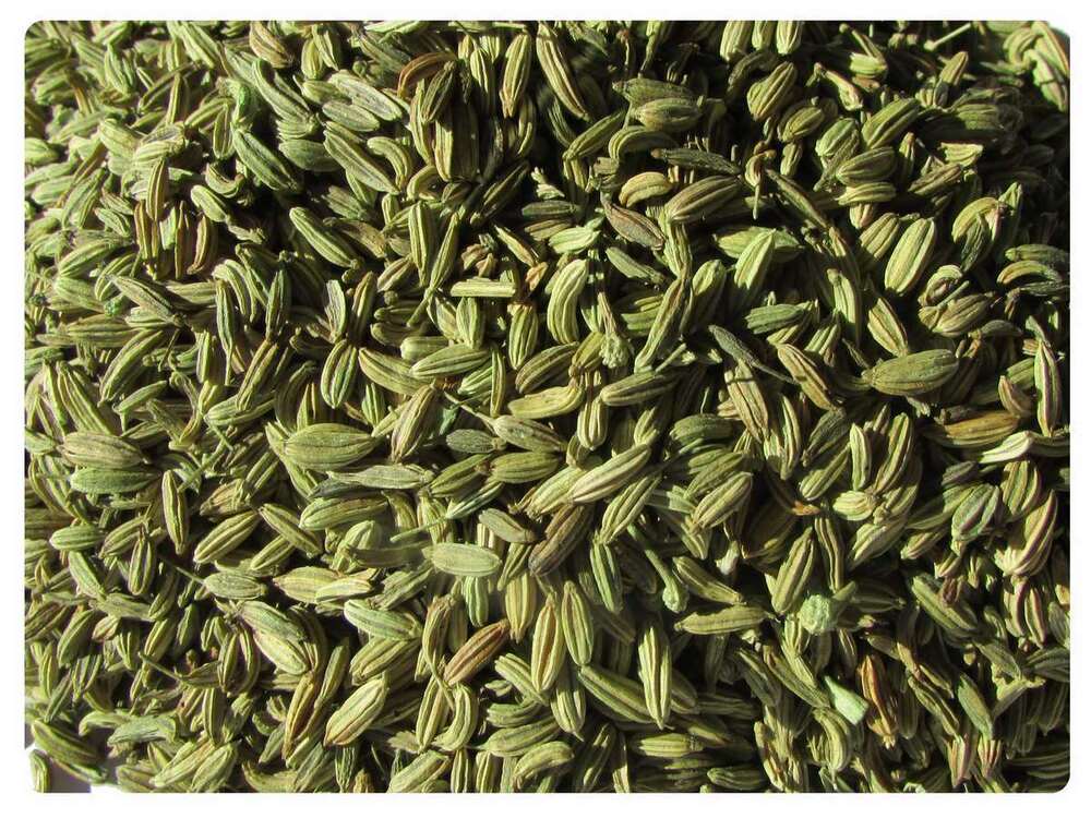 Fennel Seeds - Color: Green