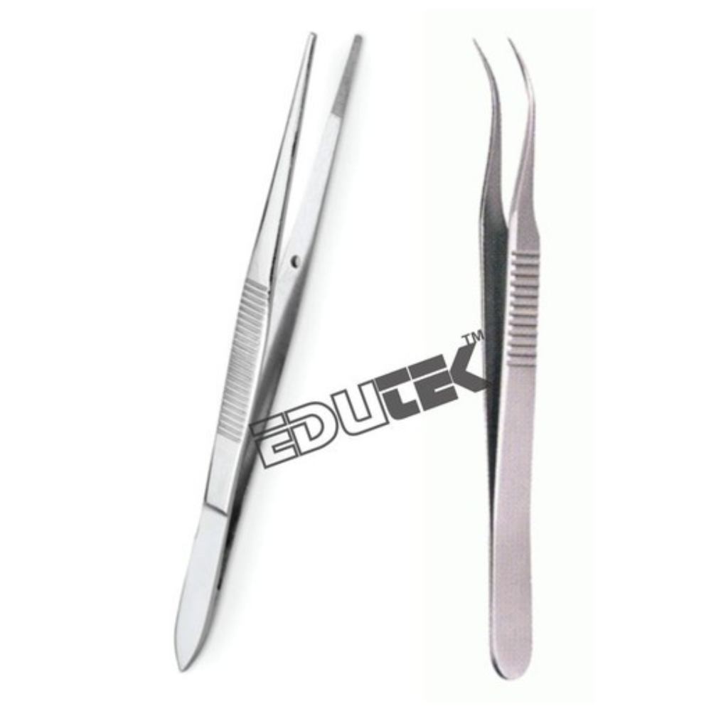 Medical Forceps - Stainless Steel, Standard Size | Precision Grip, Ergonomic Design, Manual Operation, Model No: Mf-001