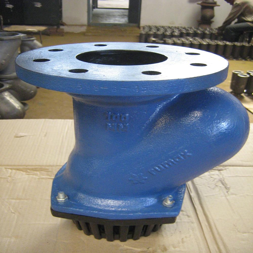 Ball Type Foot Valves - Color: Blue