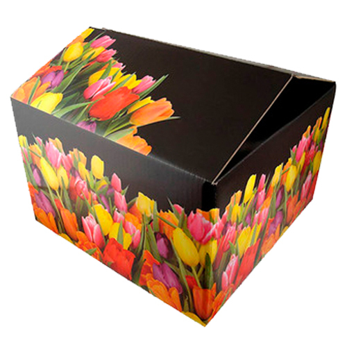 Offset Printed Box - Material: Corrugated Board