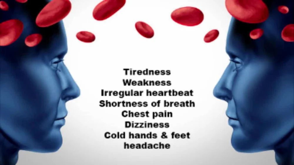 Manufacturer of True HB Hemoglobin Meter
