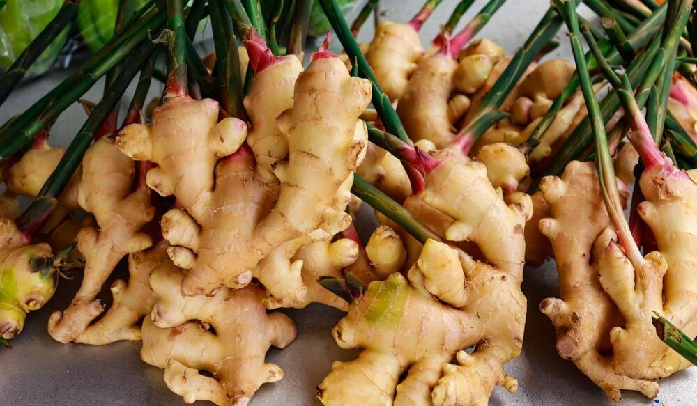 Fresh Ginger - Moisture (%): Nil