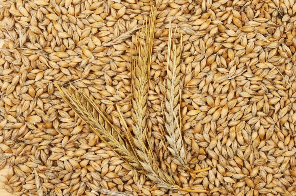 Barley Seeds - Admixture (%): No