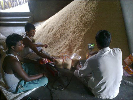 भूरा चावल