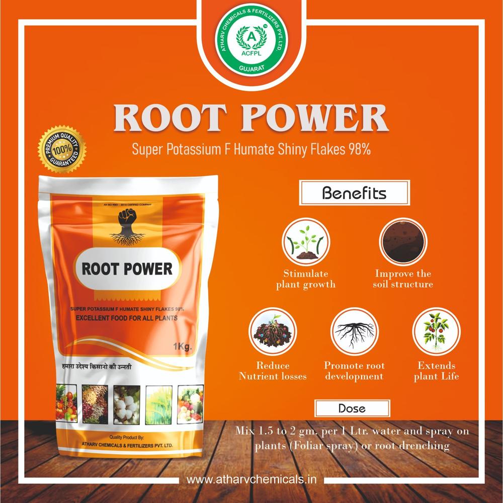 Humic Flakes 98% - Application: Organic Fertilizer