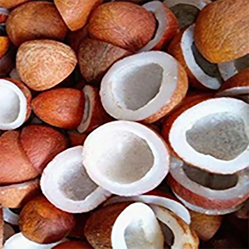 Pmw-Whole Coconuts - Color: Brown