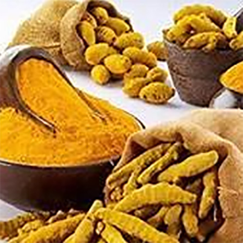 Turmeric Finger - Color: Yellow