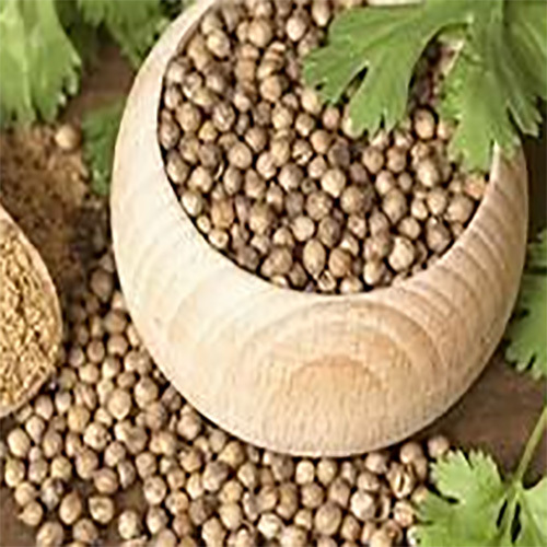 Coriander Seeds