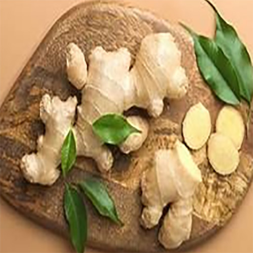 Fresh Ginger - Cultivation Type: Organic